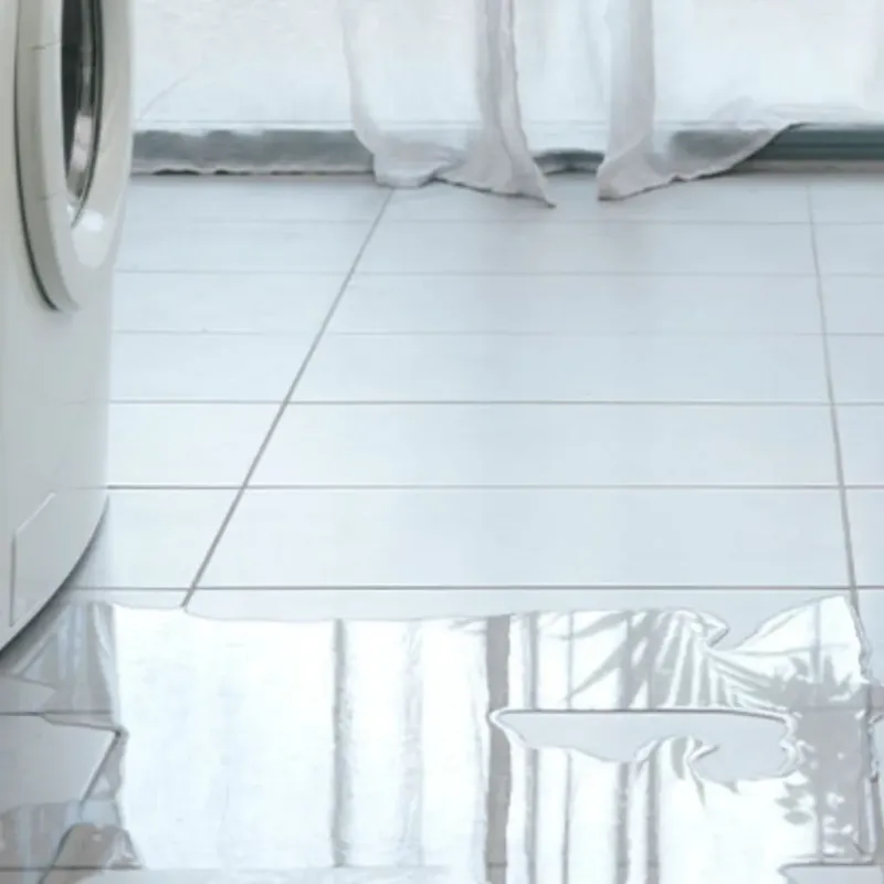 Appliance Leak Cleanup in Lakeside, TX