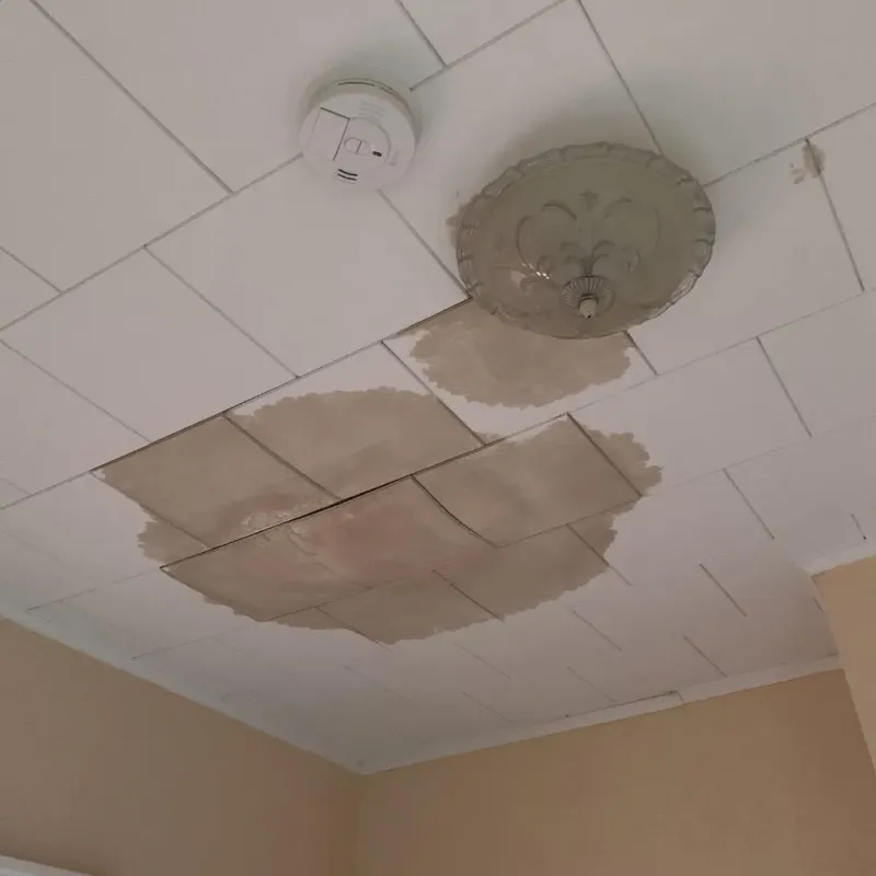 Ceiling Water Damage Repair in Lakeside, TX